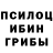 Псилоцибиновые грибы ЛСД Gamer BERLOGA