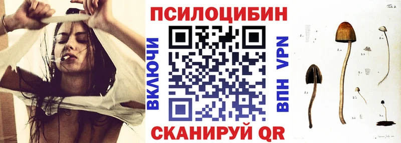 Псилоцибиновые грибы MAGIC MUSHROOMS  blacksprut ONION  Бакал  цены  