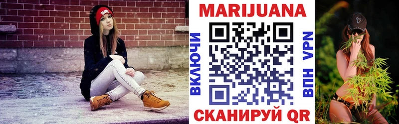 Конопля гибрид Бакал